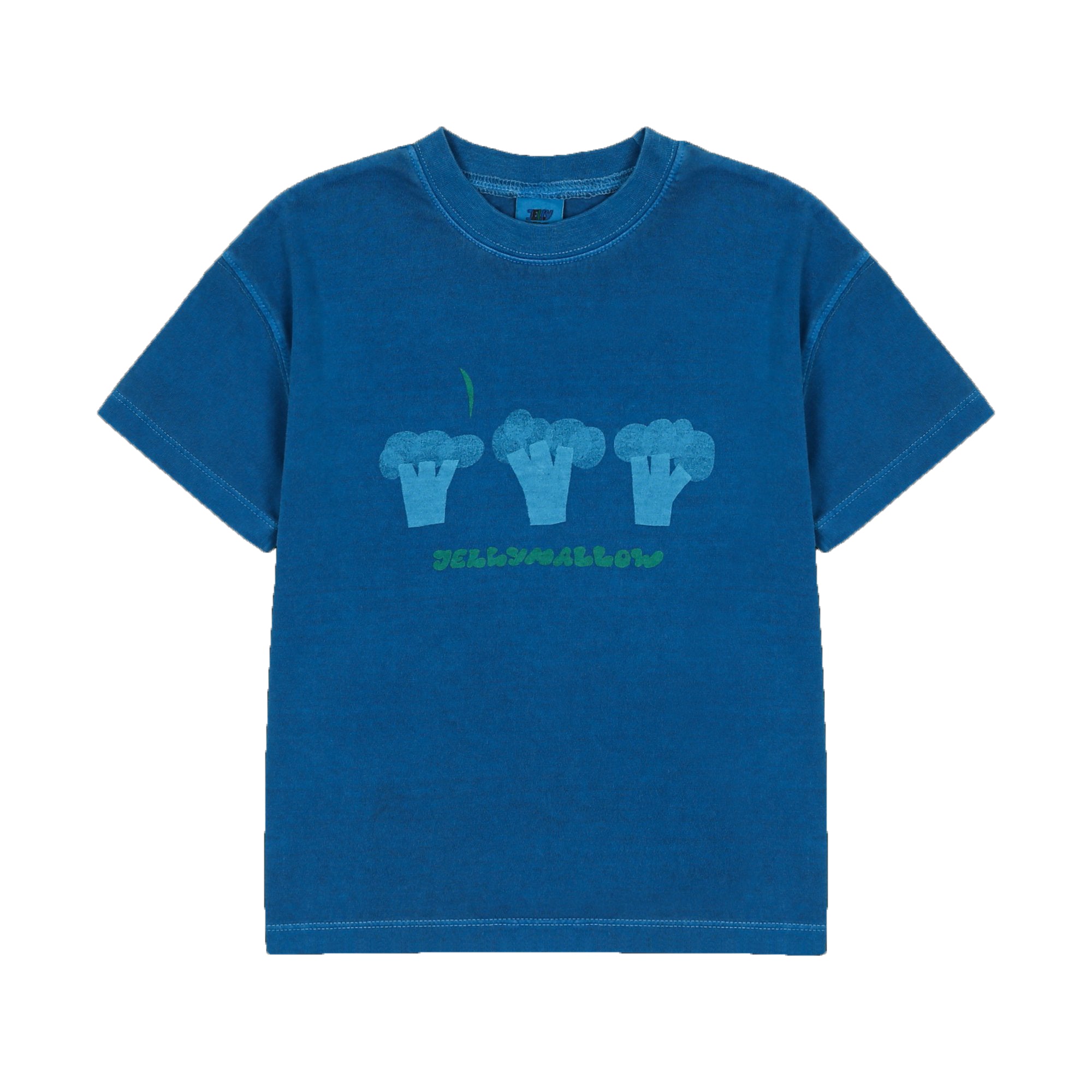 Boys & Girls Blue Printed Cotton T-Shirt
