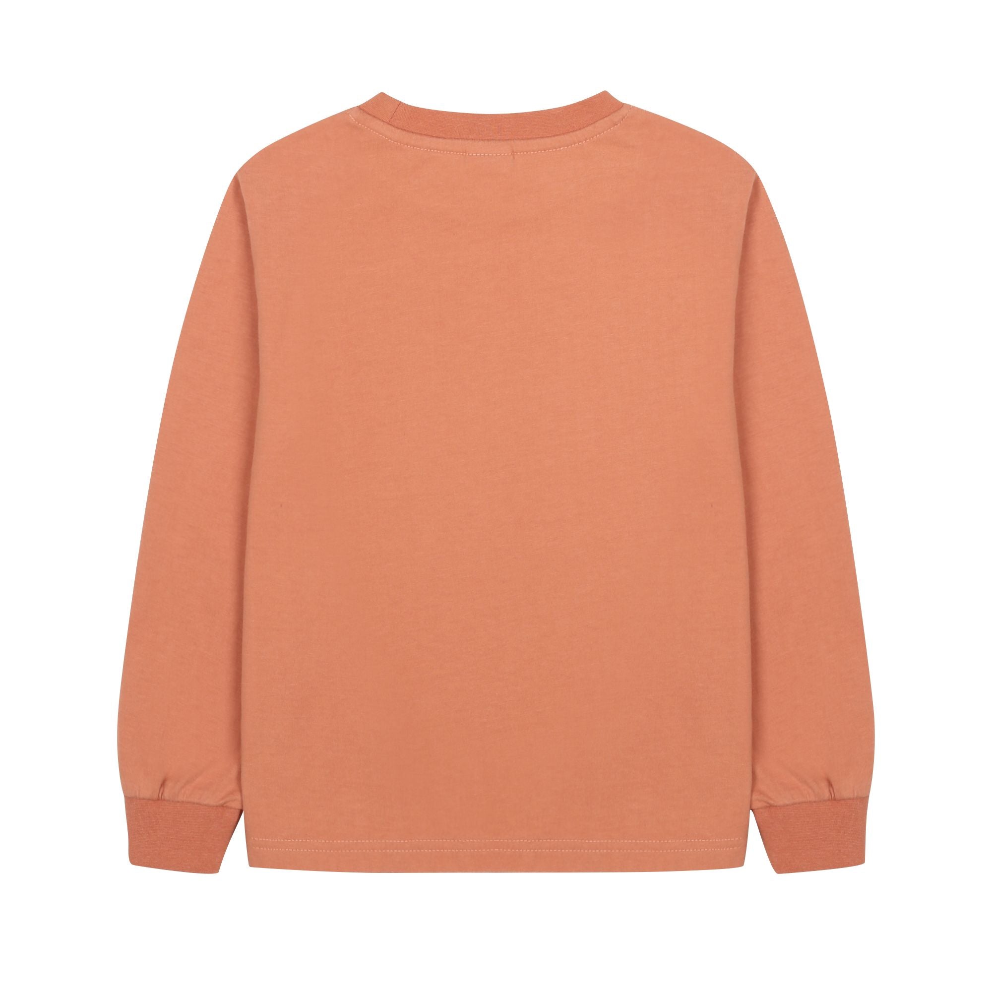 Boys & Girls Light Brown Printed Cotton T-Shirt