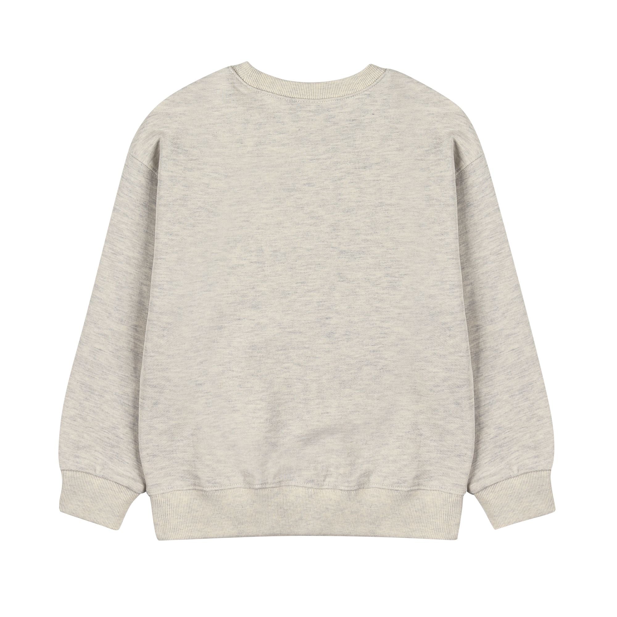 Boys & Girls Oatmeal Bird Printed Cotton Sweatshirt