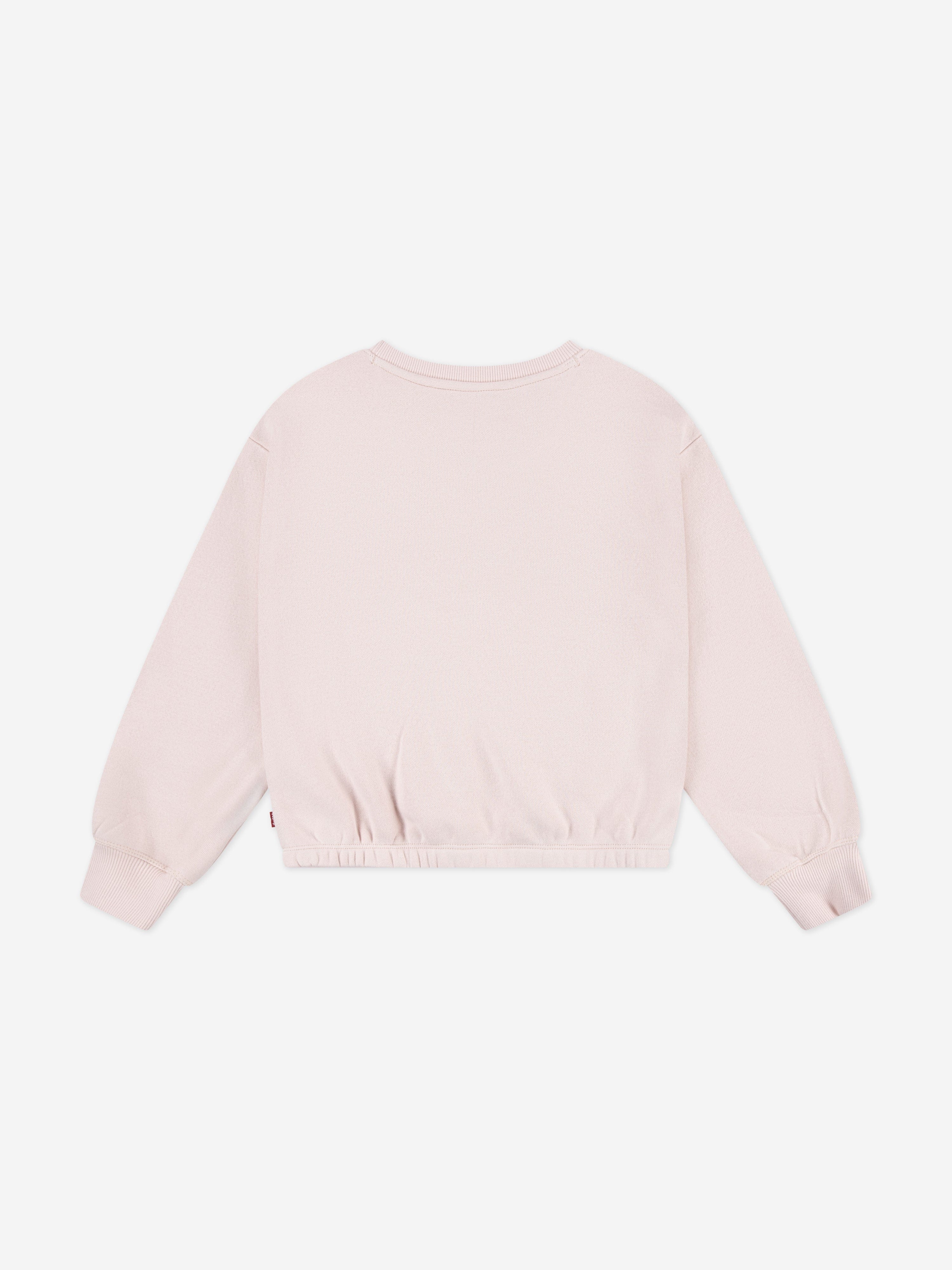 Levi's Girls Logo Sweatshirt in Pink
