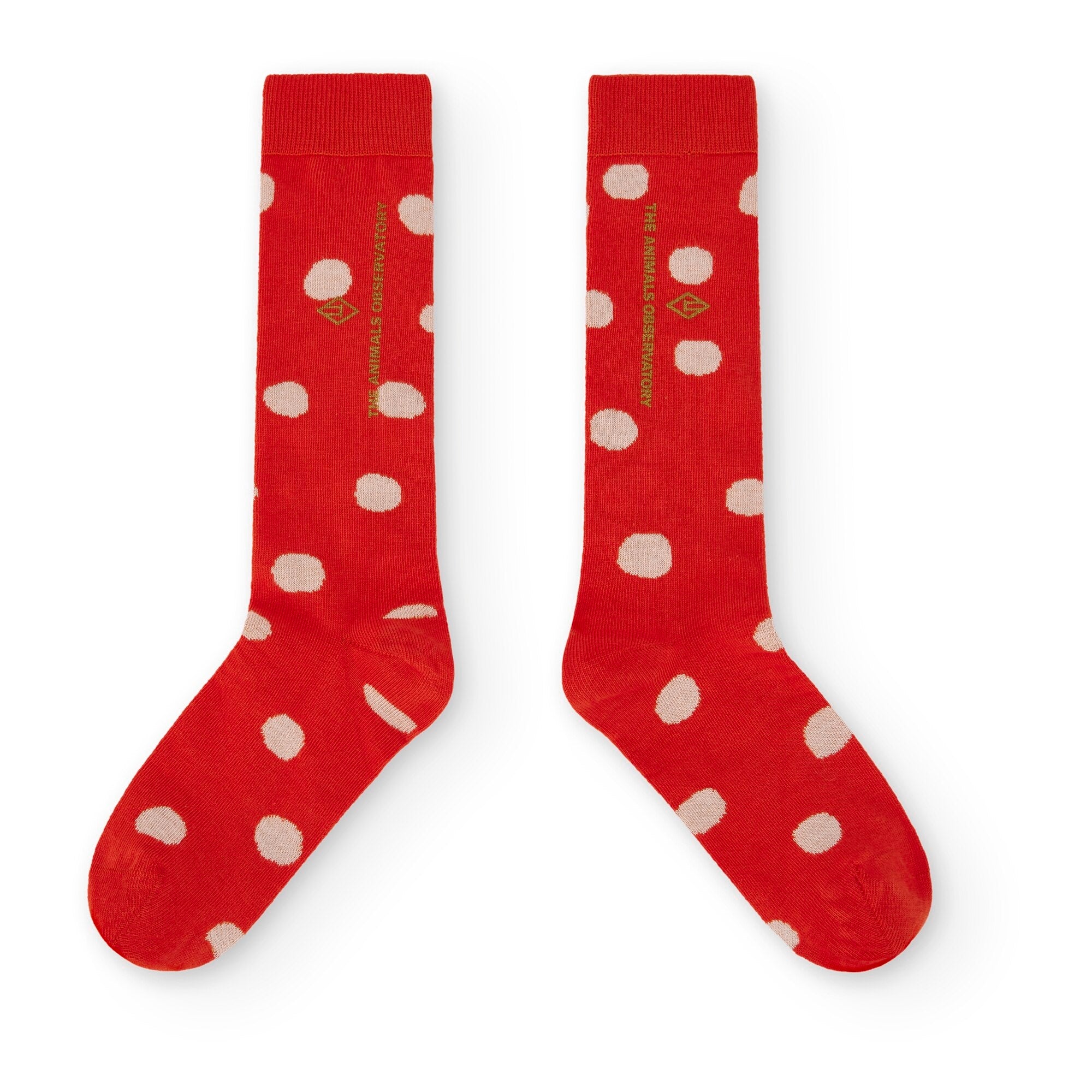 Boys & Girls Red Cotton Socks