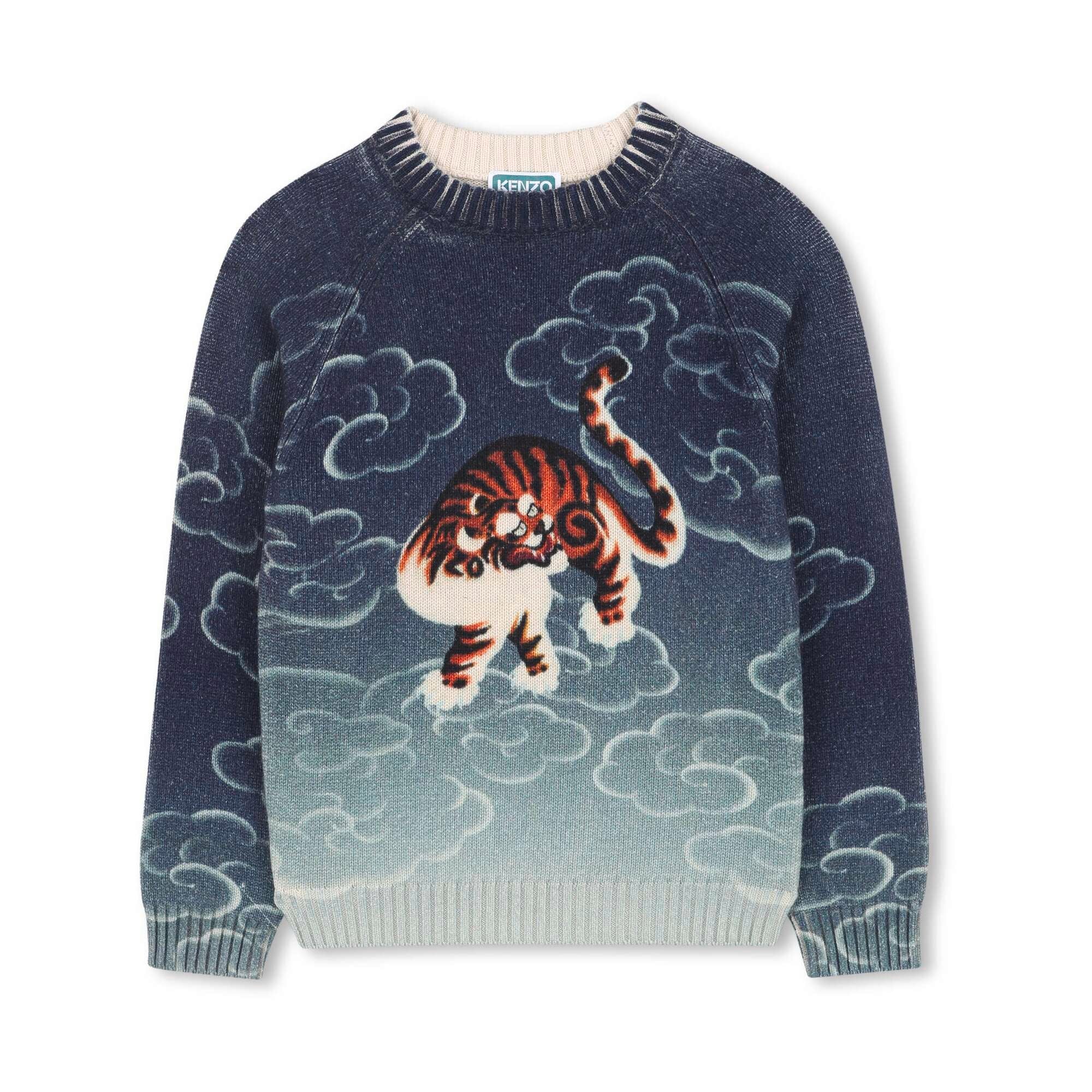Boys Blue Printed Cotton Knit Sweater