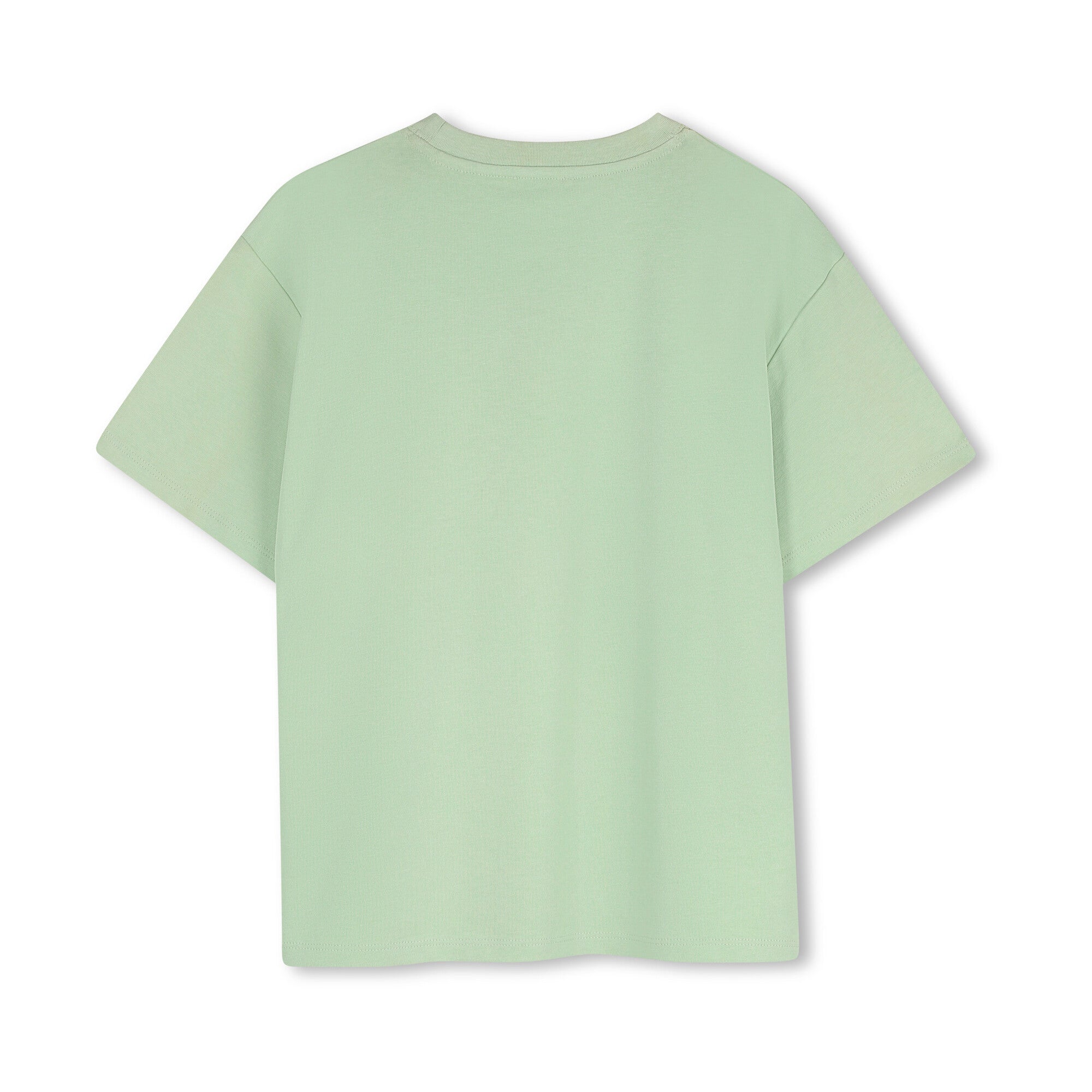 Boys Light Green Printed Cotton T-Shirt