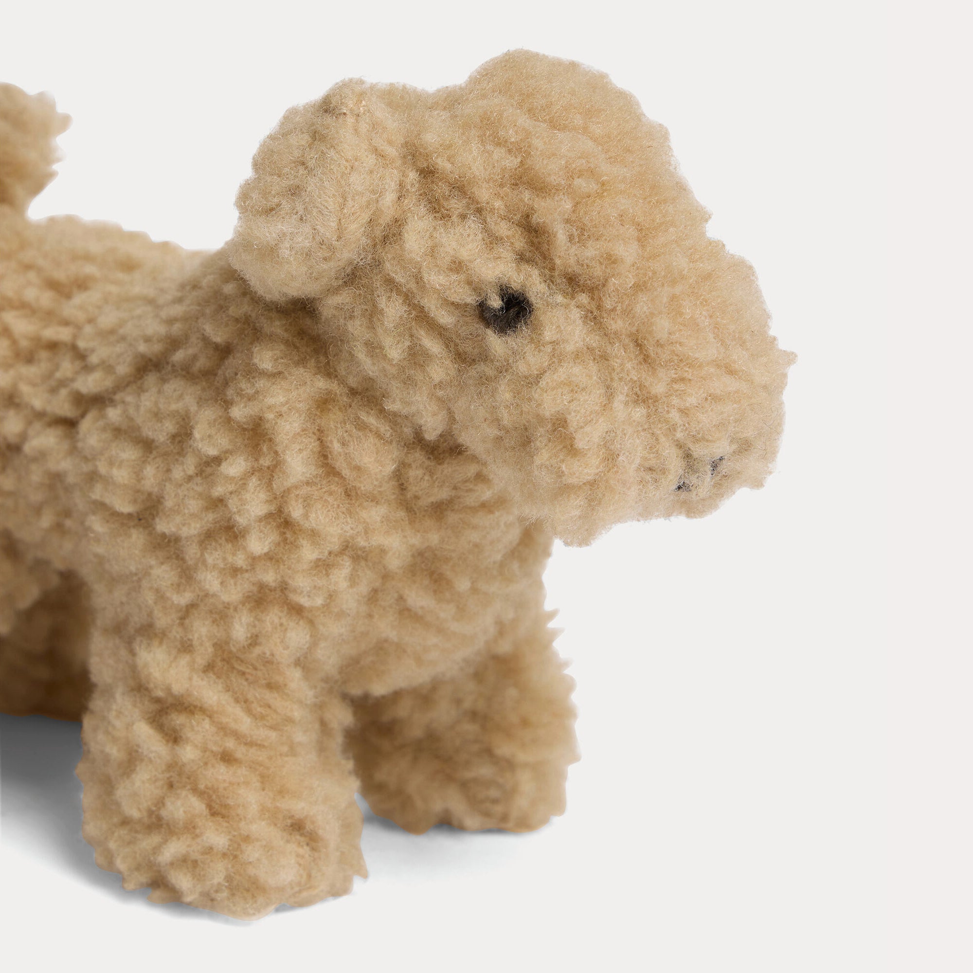 Beige Tokyo Dog