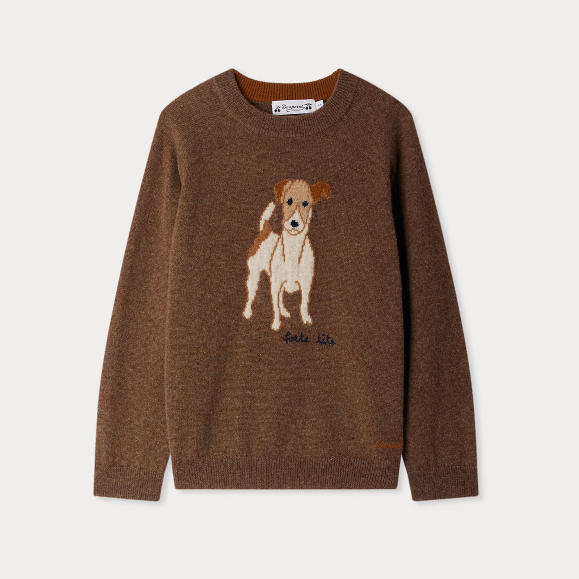 Boys Brown Dog Jacquard Cashmere Sweater