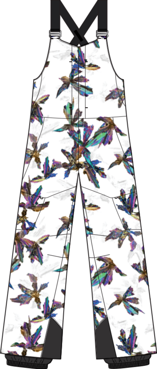 Women's [ak] Kimmy GORE-TEX 2L Bib Pants