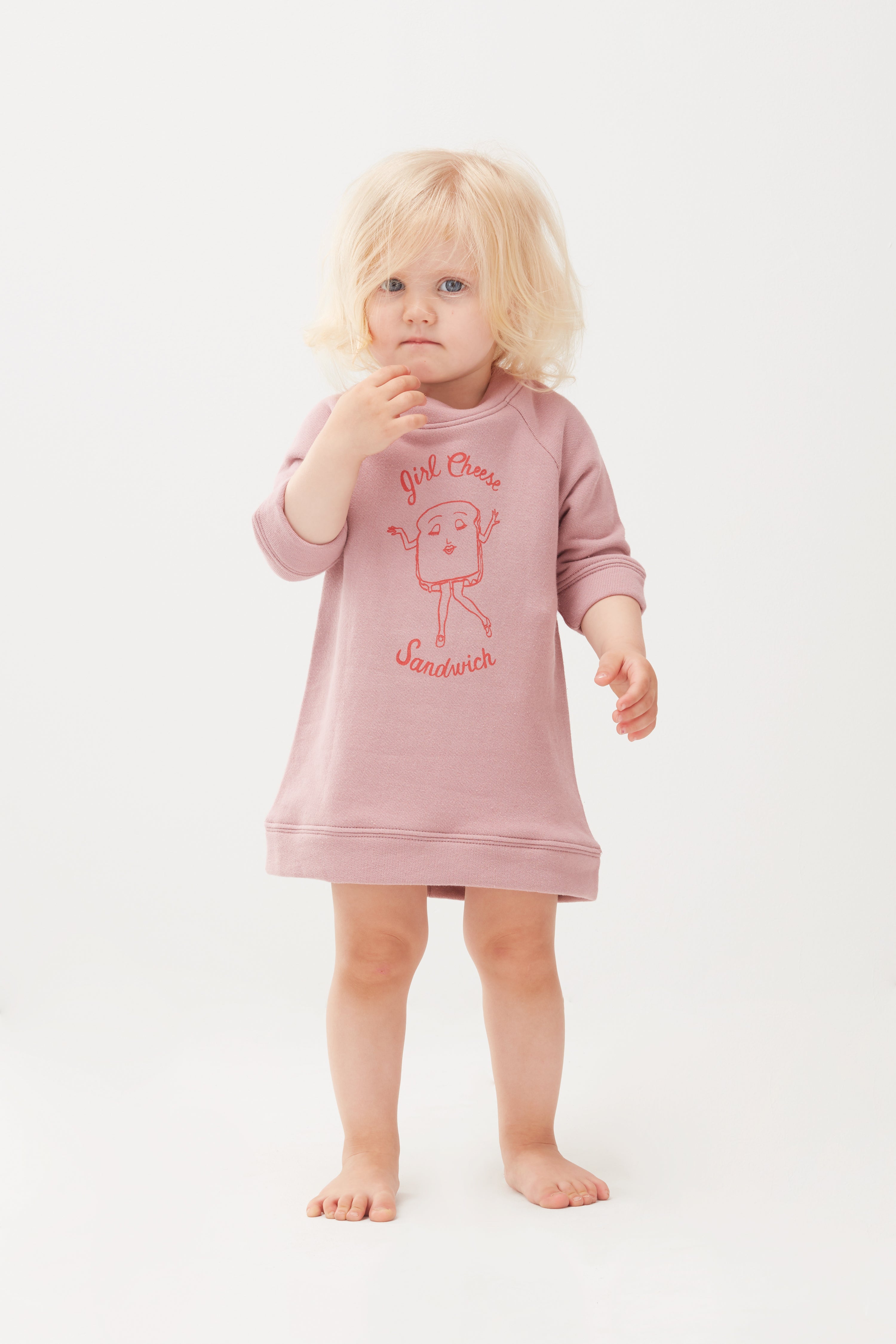 Girls Mauve Cotton Sweatshirt Dress