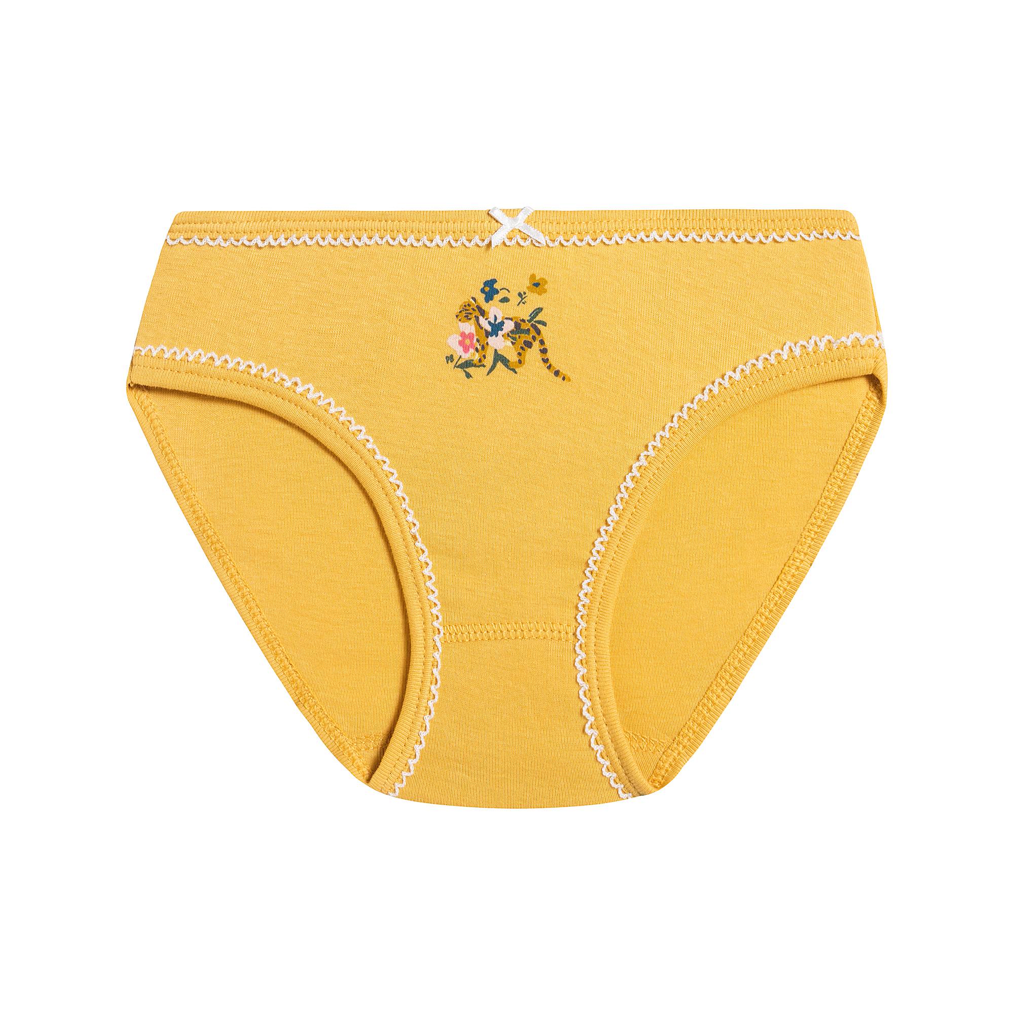 Girls Multicolor Cotton Underwear Set (5 Pack)