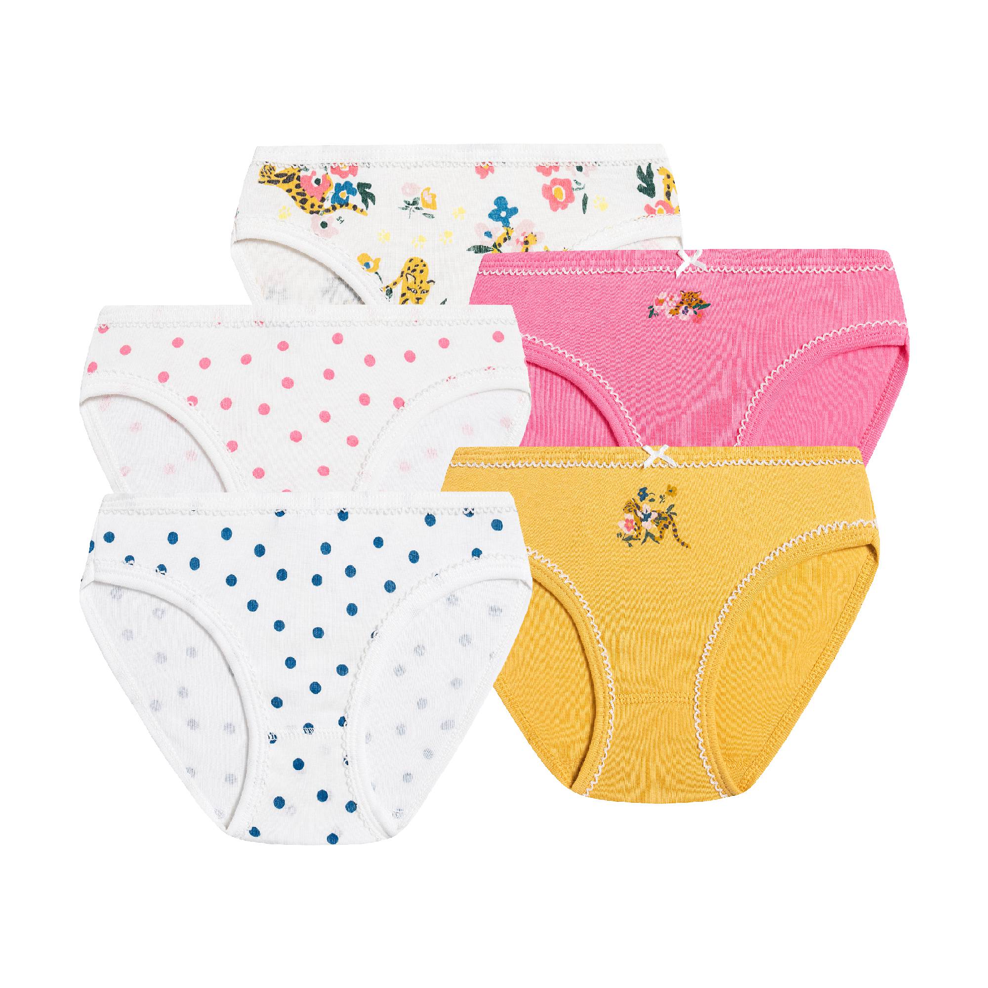 Girls Multicolor Cotton Underwear Set (5 Pack)