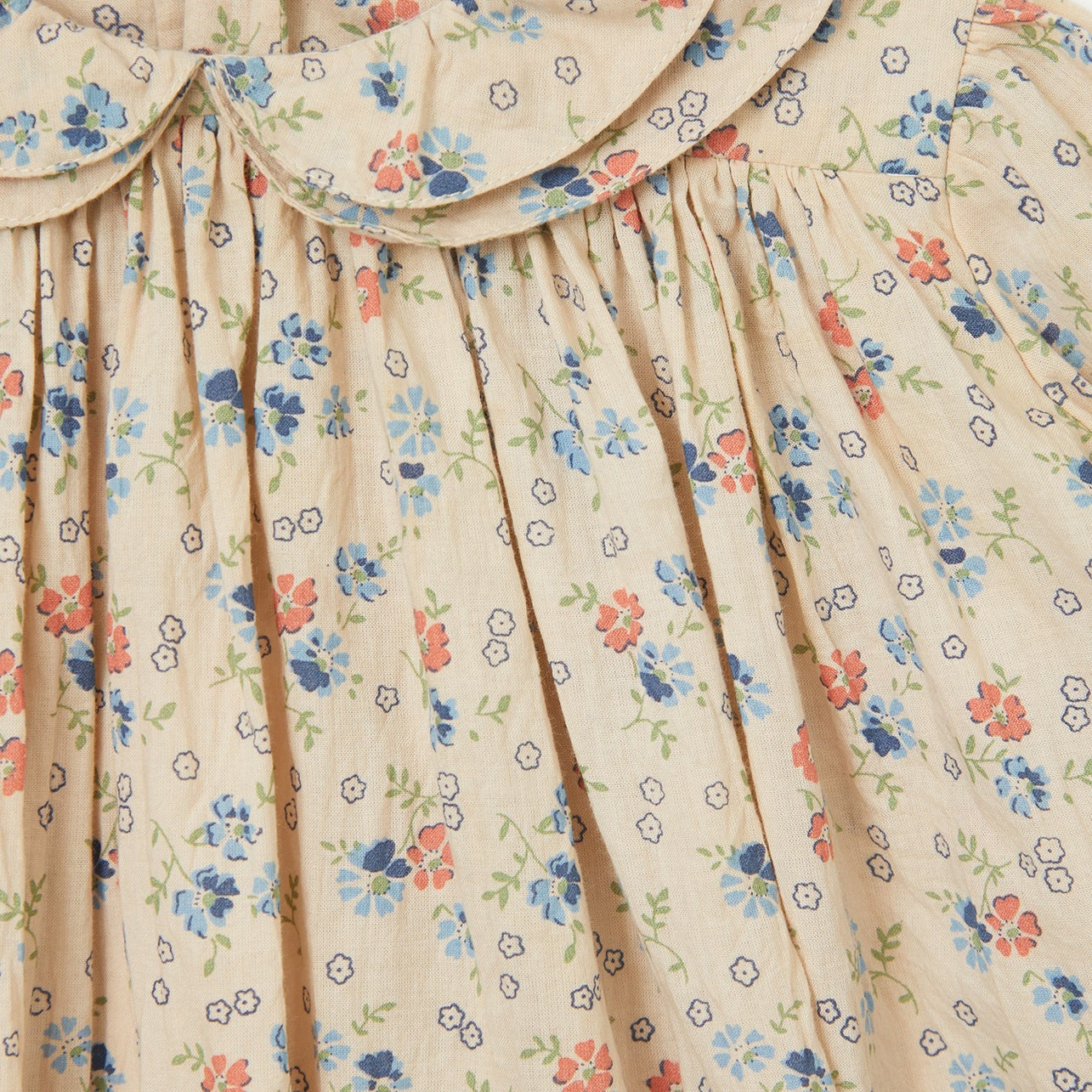 Baby Girls Beige Floral Dress