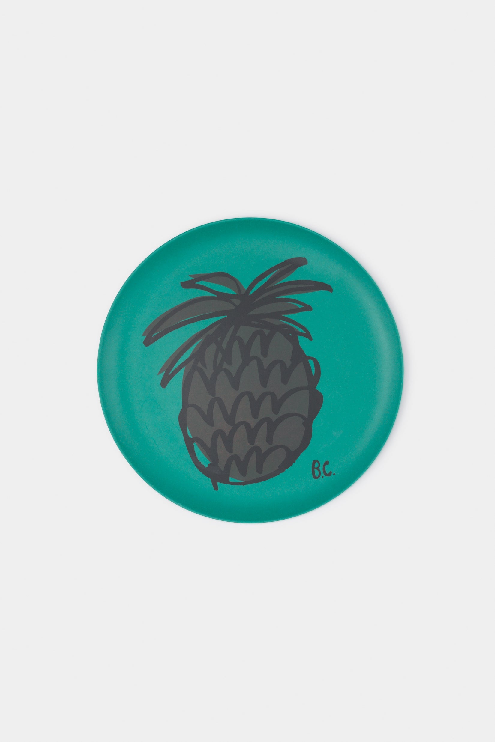 Multicolor Bamboo Plate (Pack 4)