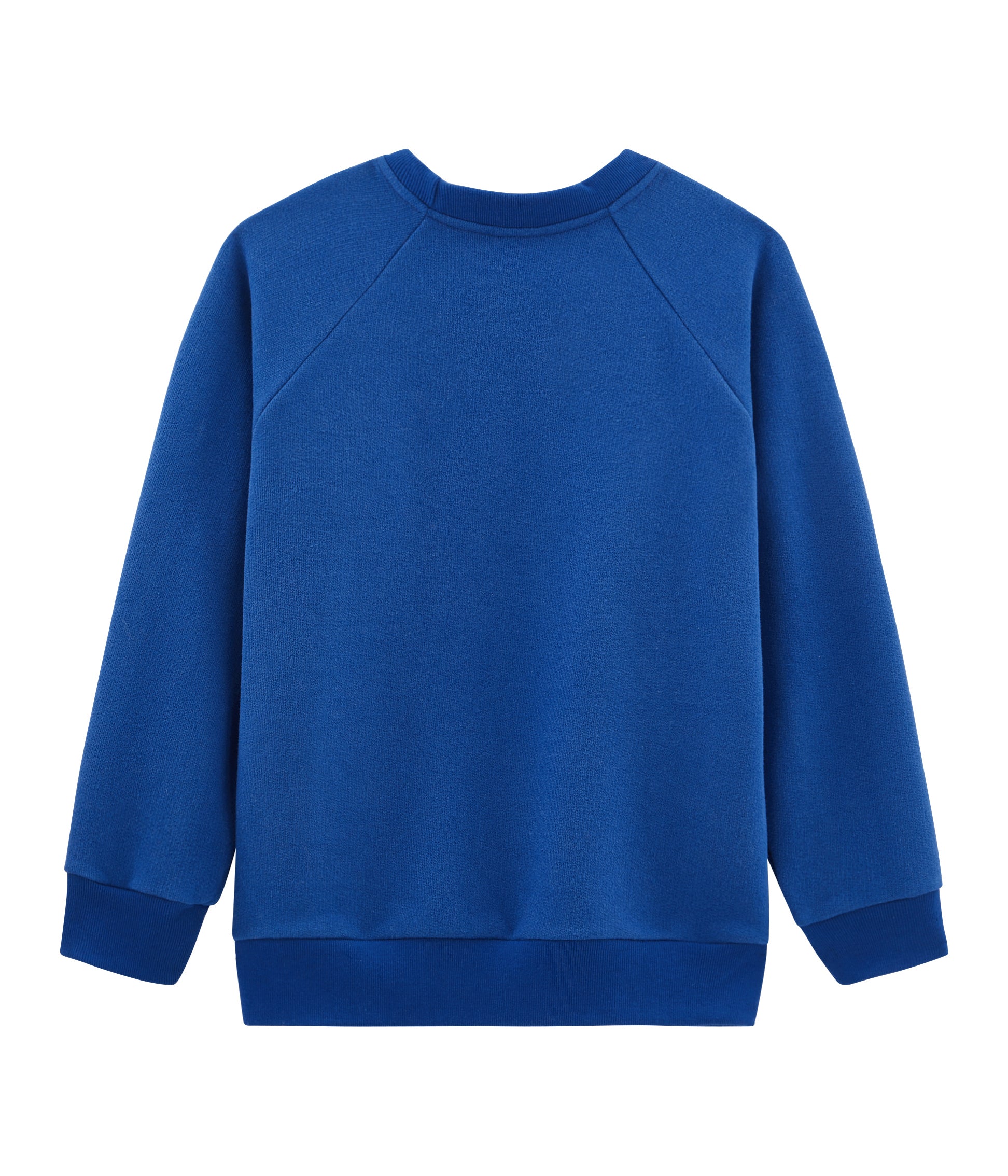 Boys Blue Logo Cotton Sweatshirt