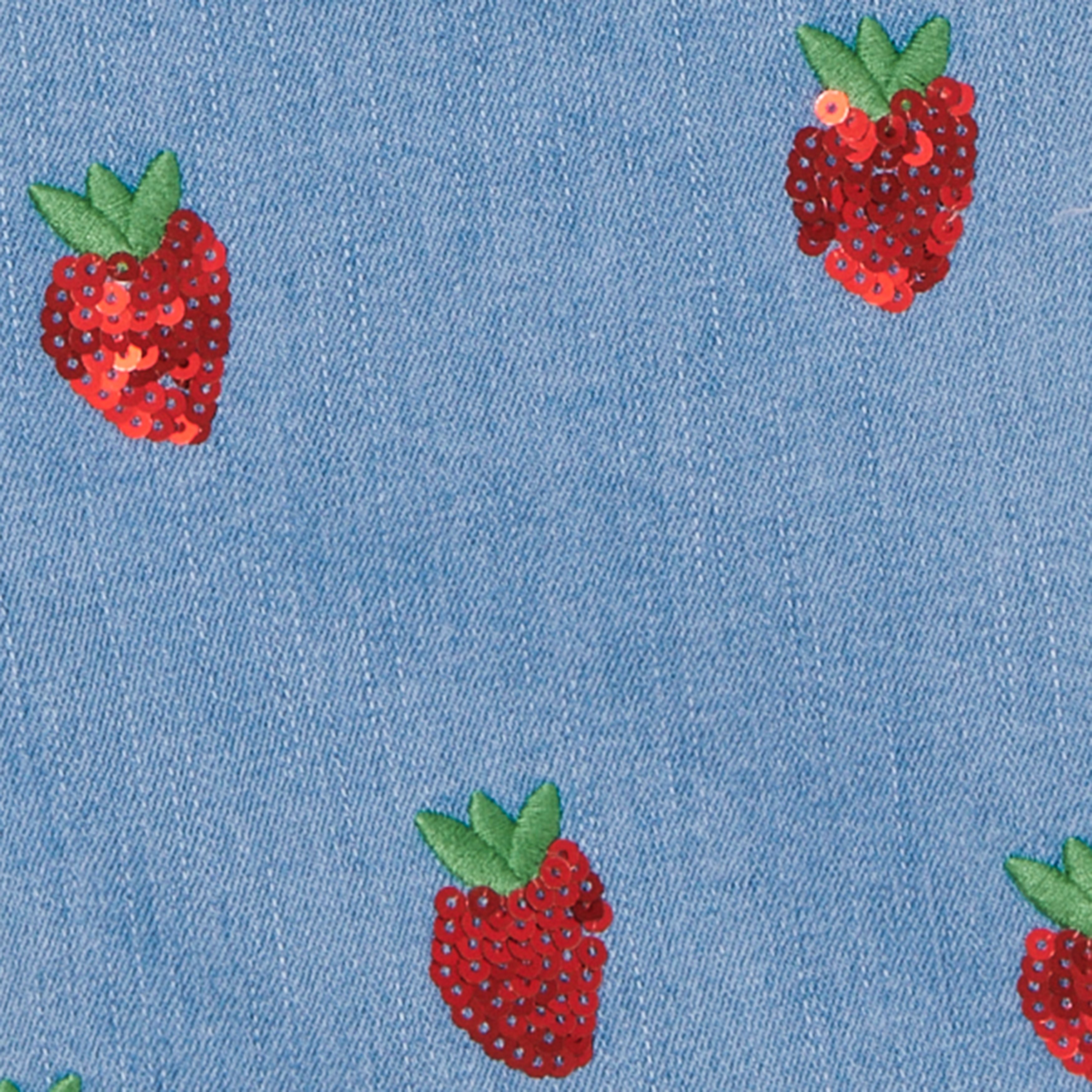 Girls Blue Denim Overalls