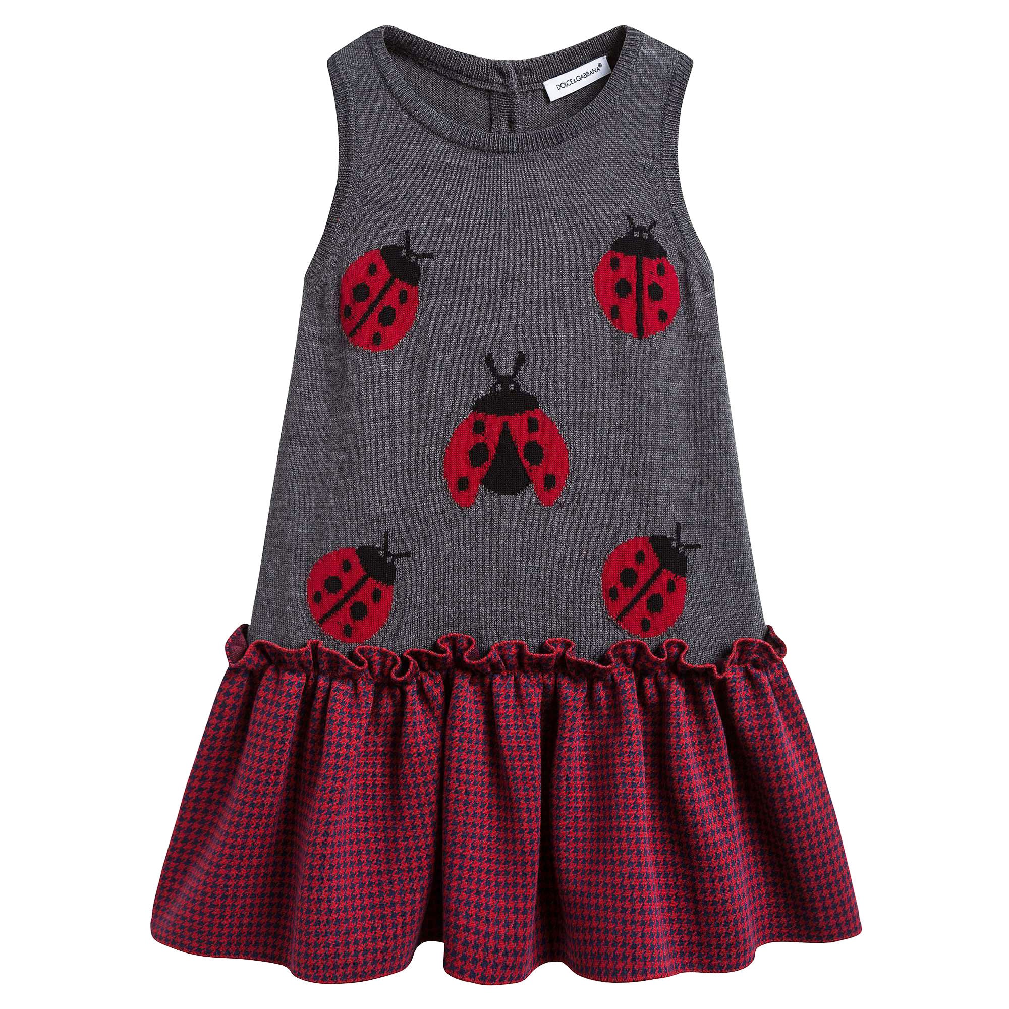 Girls Grey Ladybird Dress
