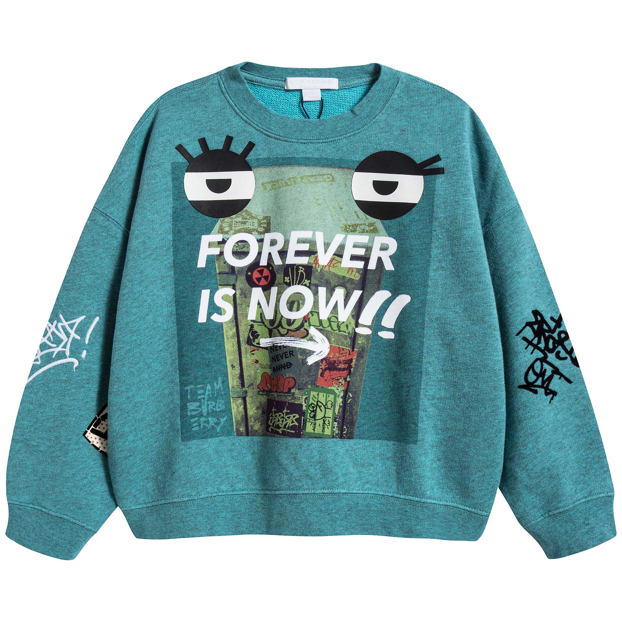 Girls Turquoise Cotton Sweatshirt