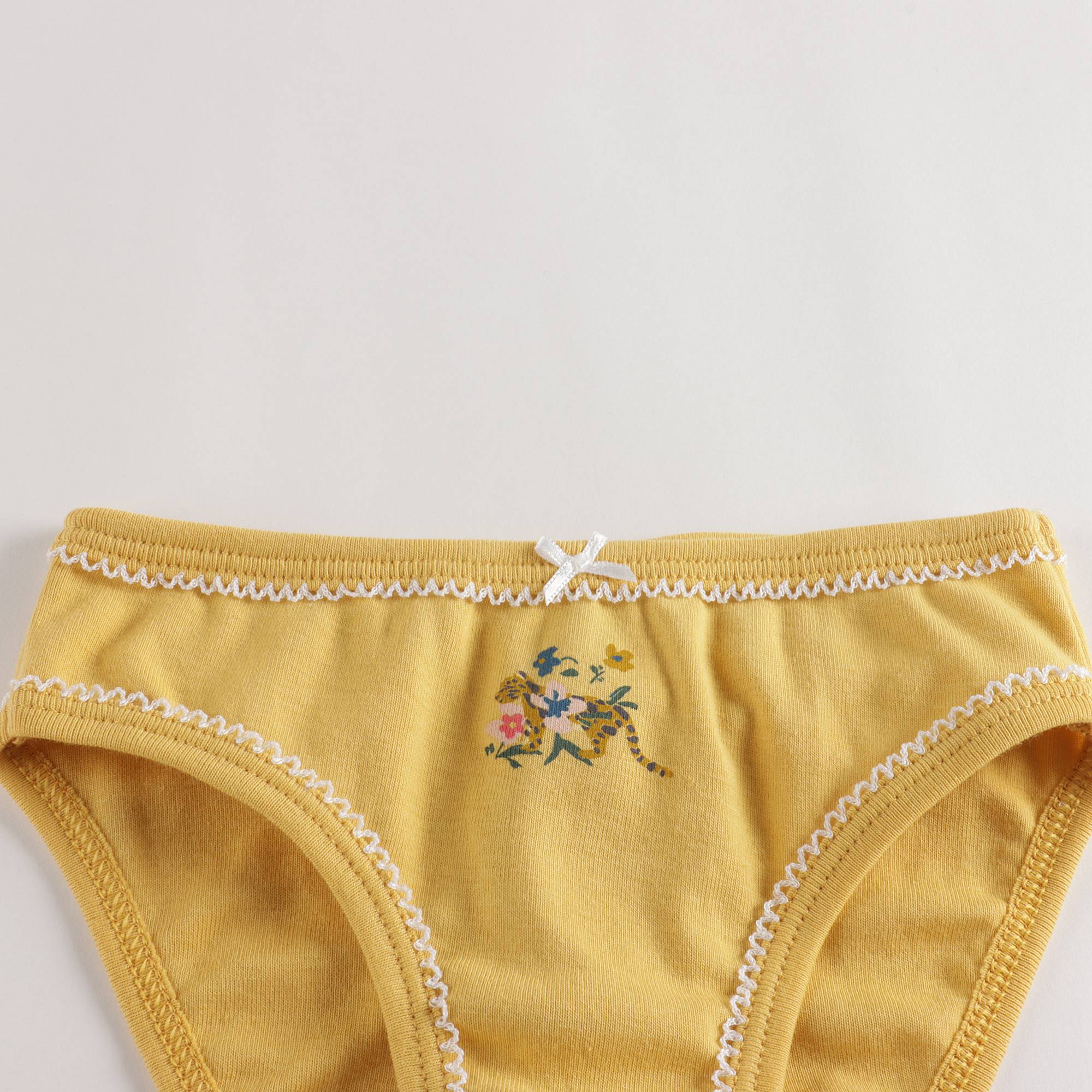 Girls Multicolor Cotton Underwear Set (5 Pack)