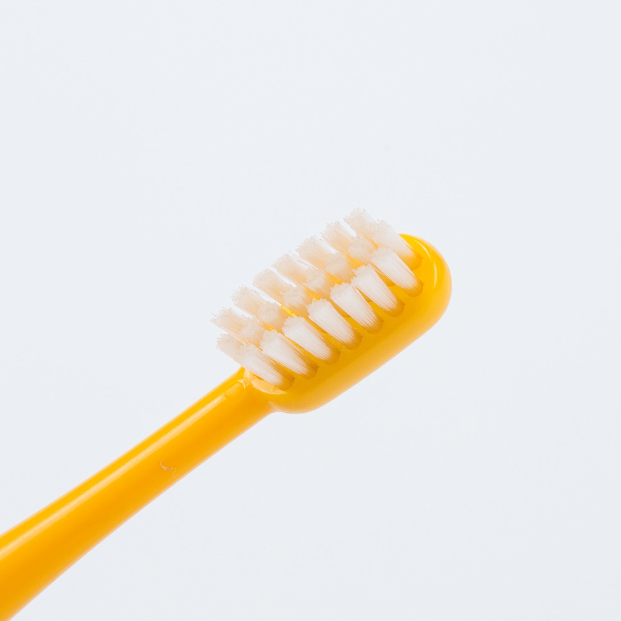 Tumbler Toothbrush