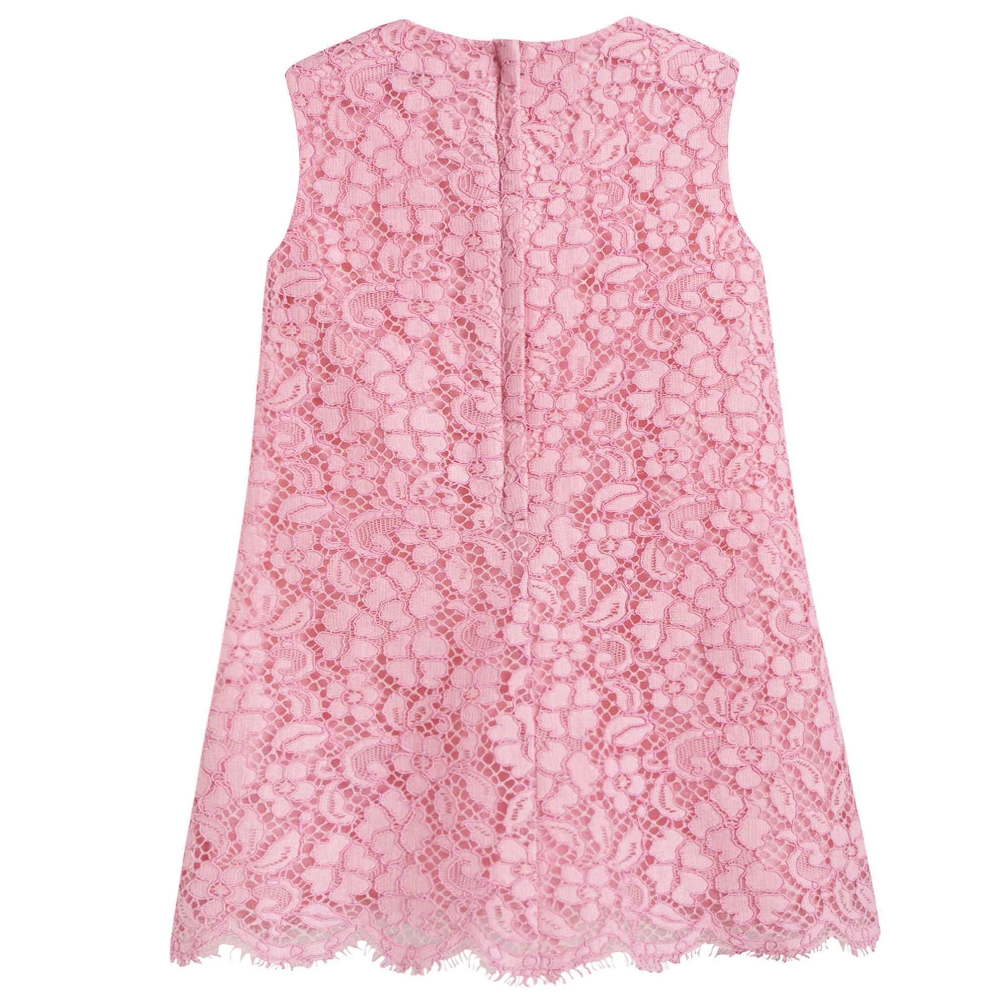 Girls Pink & Rose Lace Dress