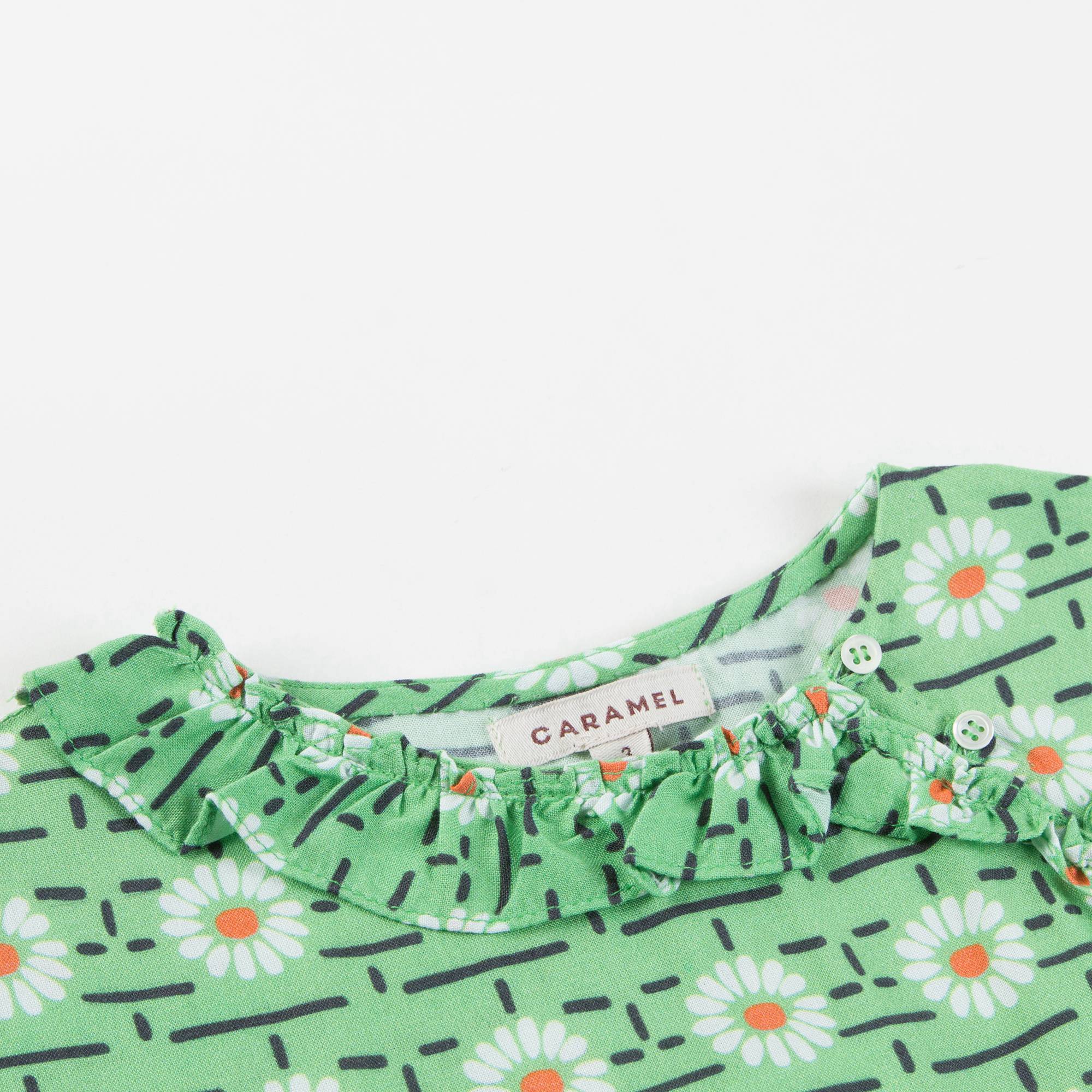 Girls Green Daisy Printed Dress