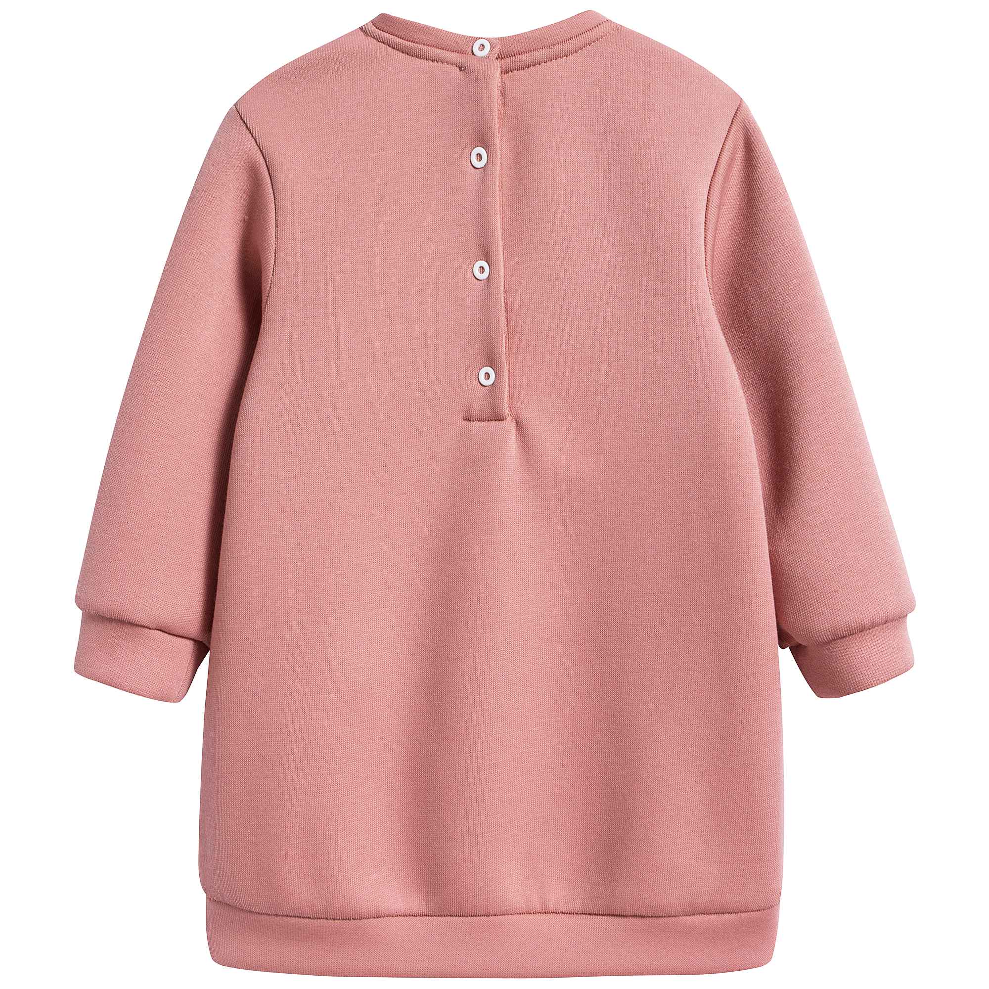 Baby Girl Rose Dress