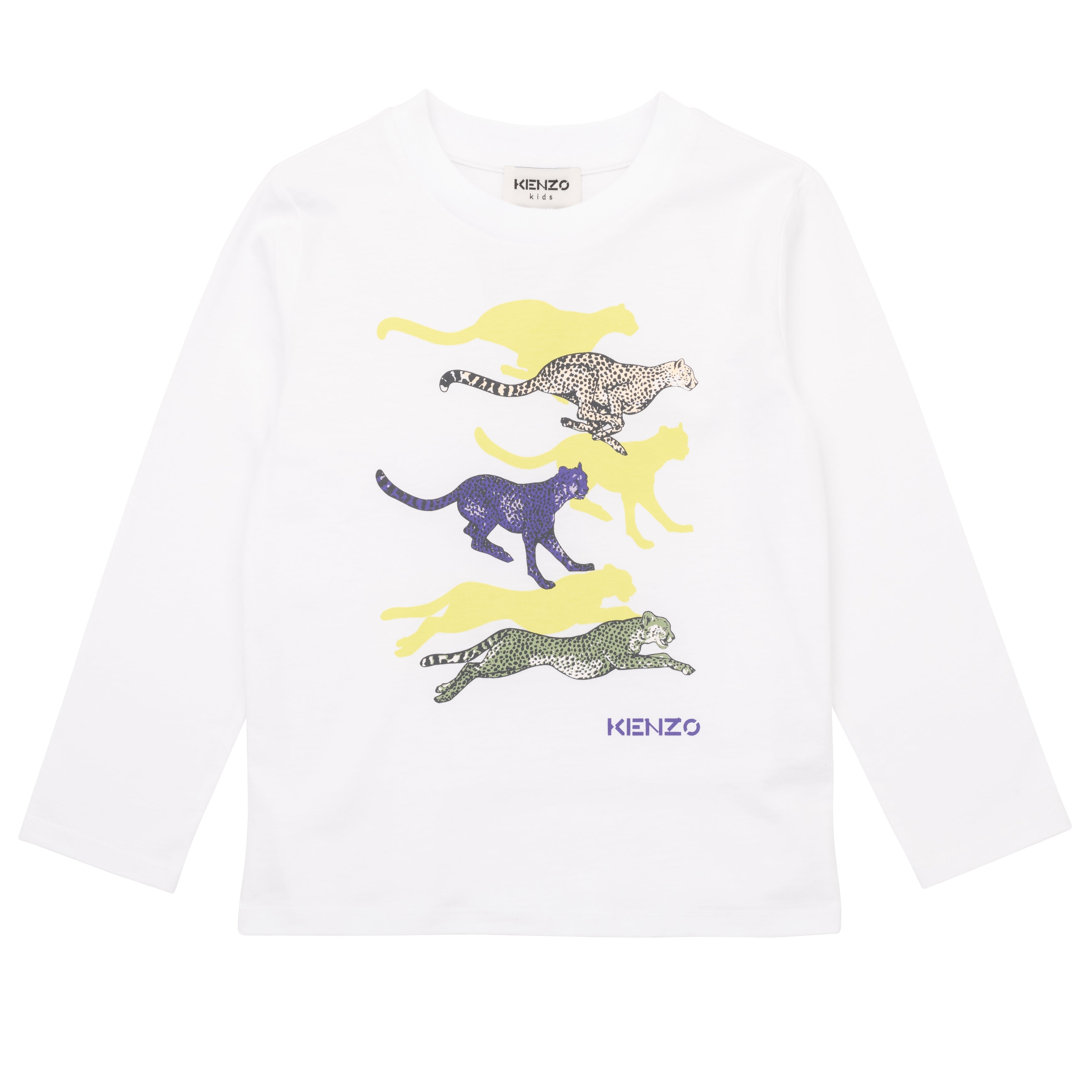 Boys White Printed Cotton T-Shirt