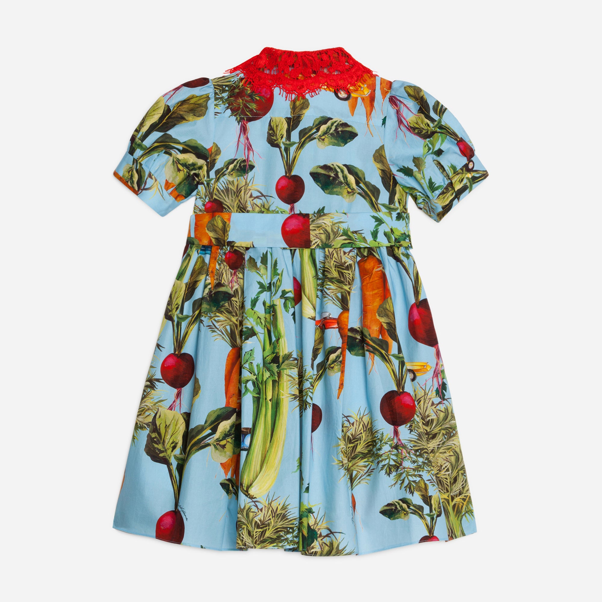 Girls Blue Printed Dress