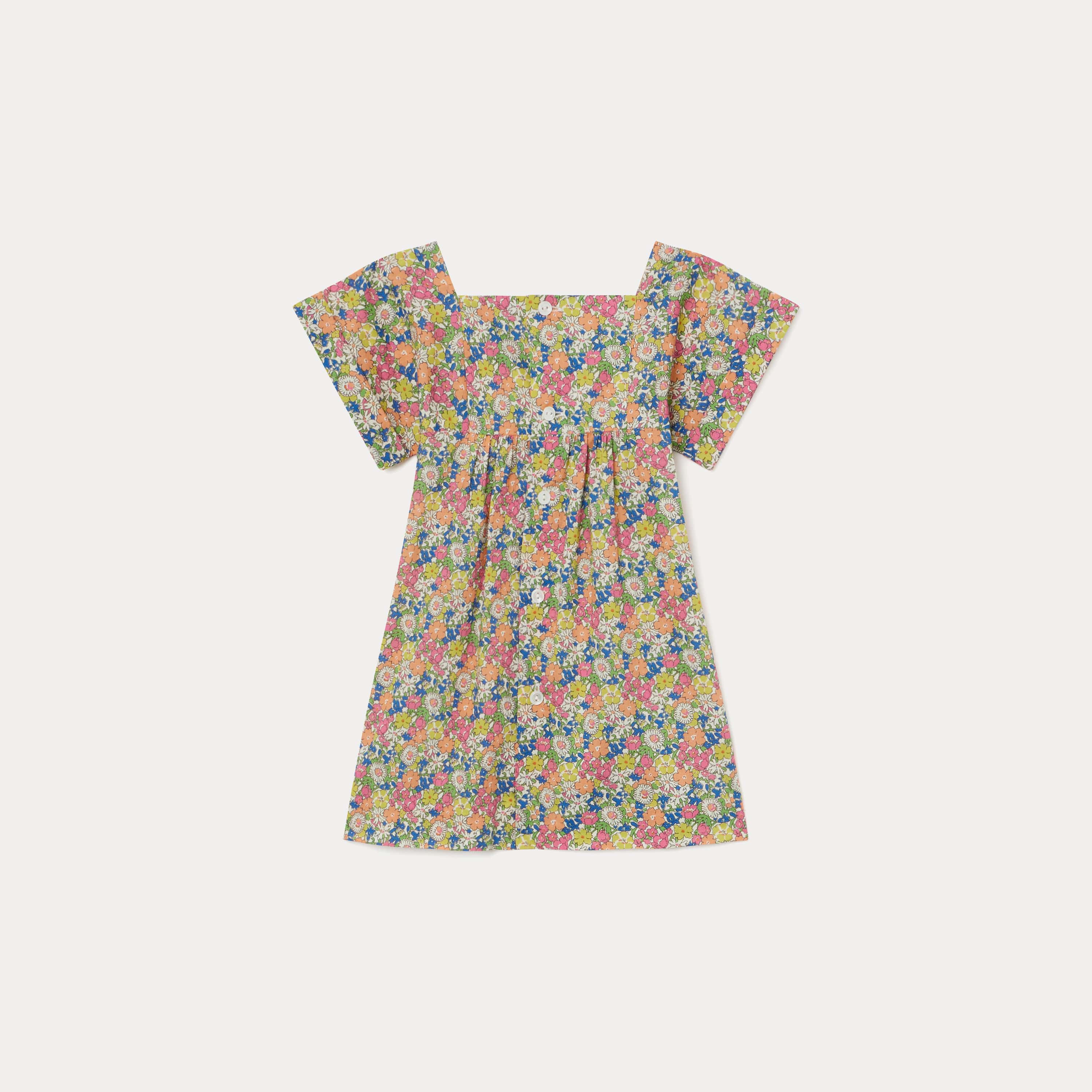 Baby Girls Multicolor Floral Dress