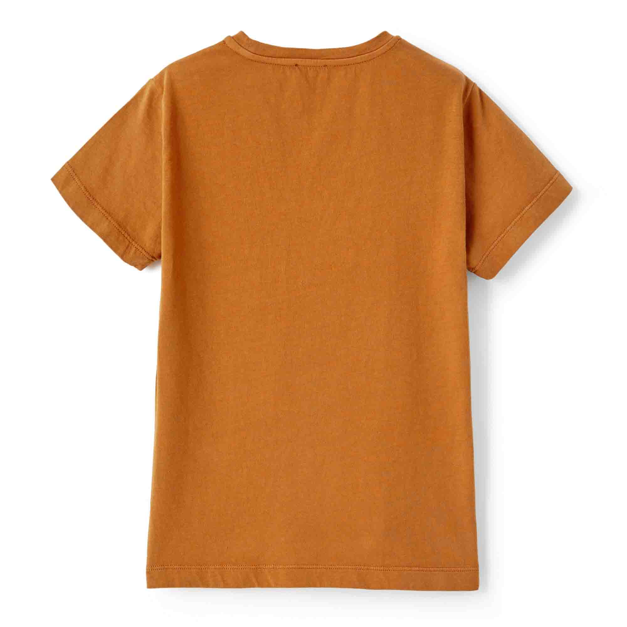 Boys & Girls Orange Sun Cotton T-Shirt