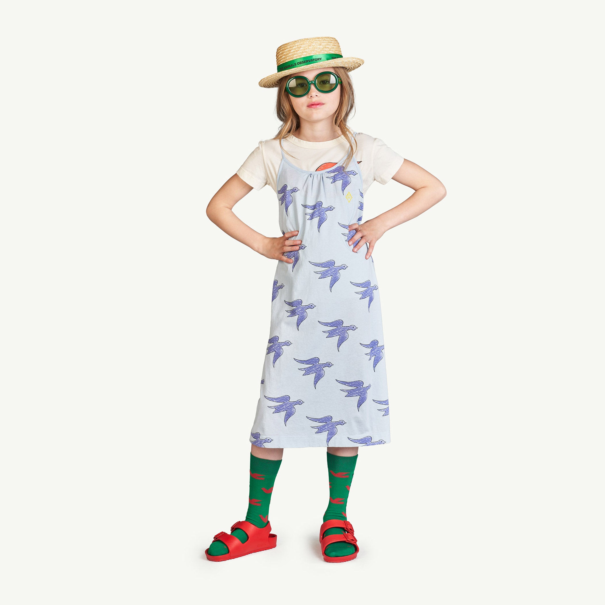 Girls Blue Bird Printed Cotton Dress