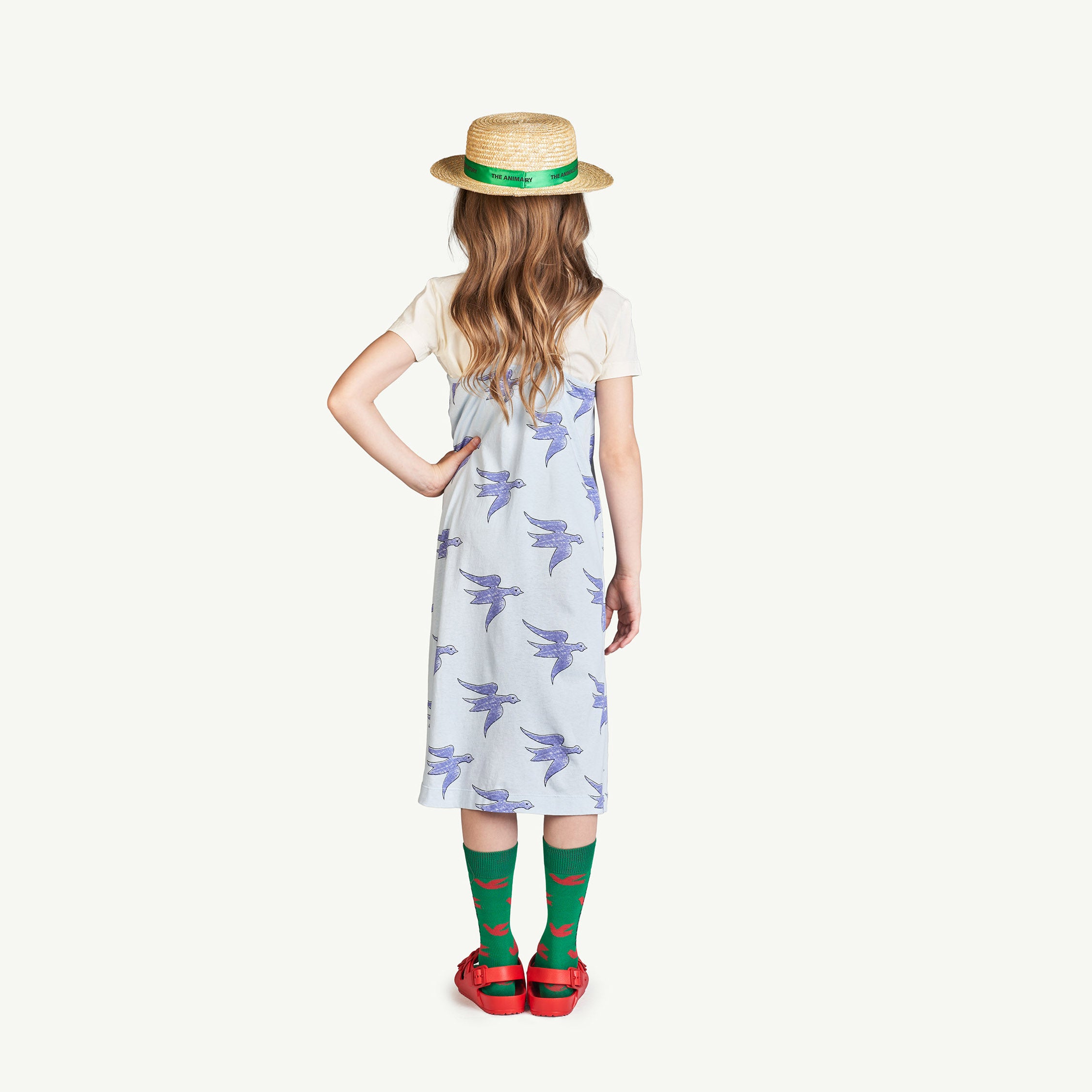 Girls Blue Bird Printed Cotton Dress