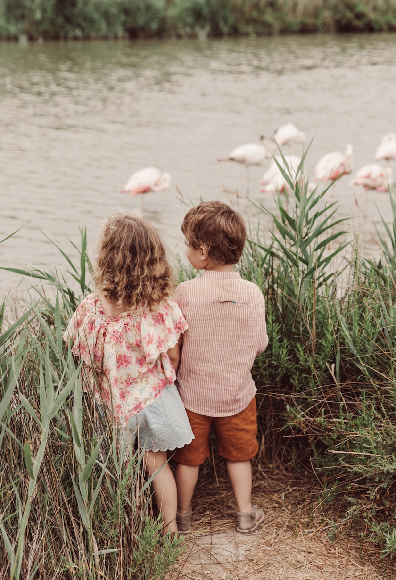 Girls Pink Floral Cotton Dress