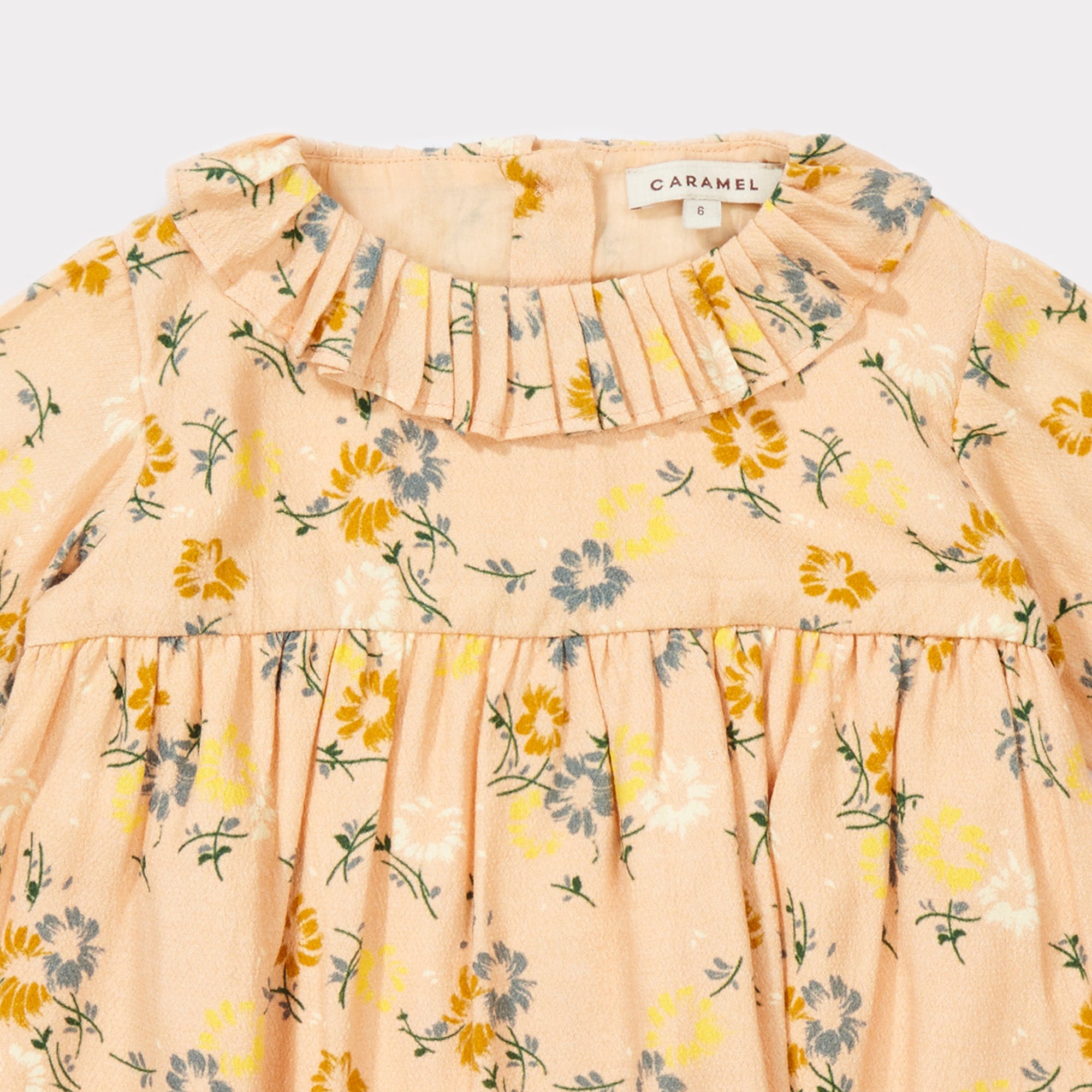 Baby Girls Blush Painted Flower Woven Dress